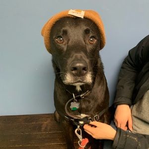 Meet your Posher, Mitchell